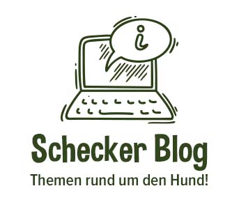 Schecker's Blog