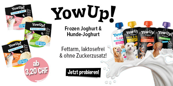 YowUp! Hunde-Joghurt