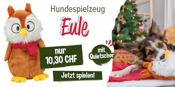 NEU! Hundespielzeug Eule