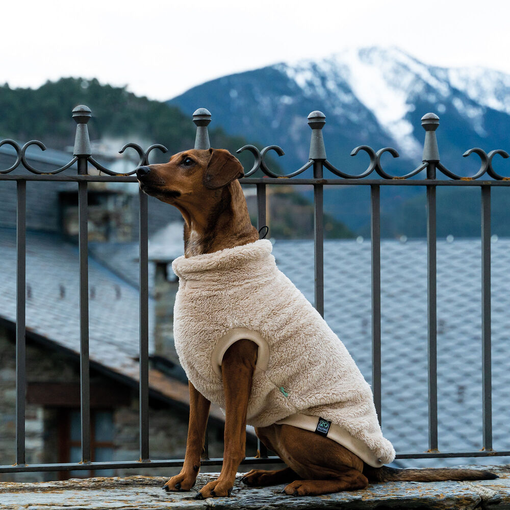 FuzzYard Teddy Hunde-Sweater Bild 2