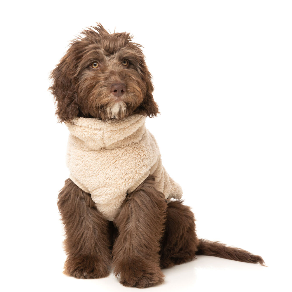 FuzzYard Teddy Hunde-Sweater Bild 5