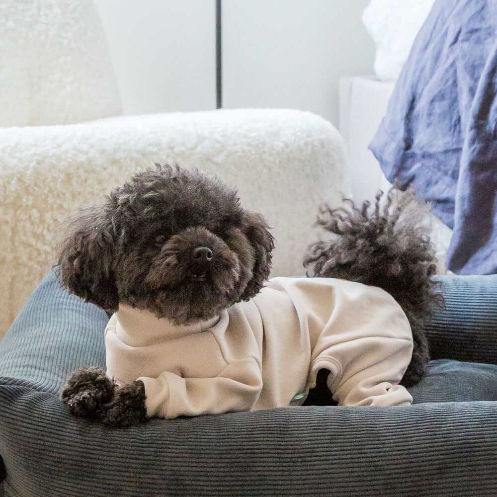 FuzzYard LIFE Soft Touch Hunde-Pyjama Bild 2