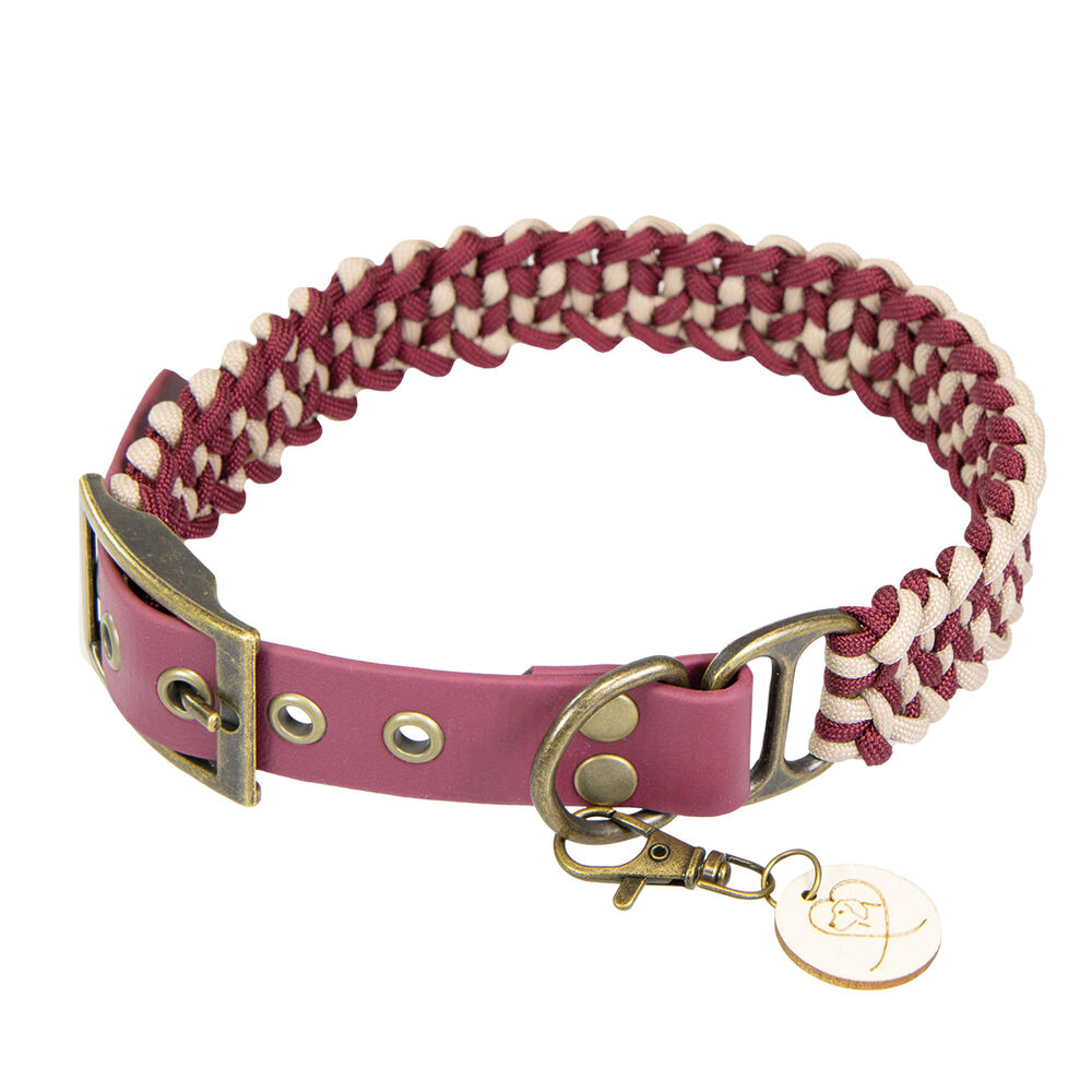 Trendfhrte Hundehalsband Paracord Bild 4