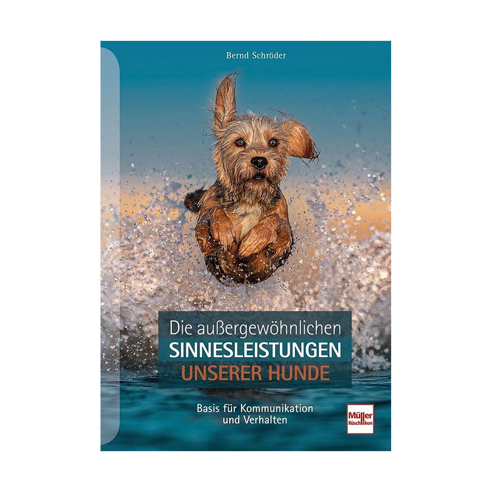 Die auergewhnlichen Sinnesleistungen unserer Hunde