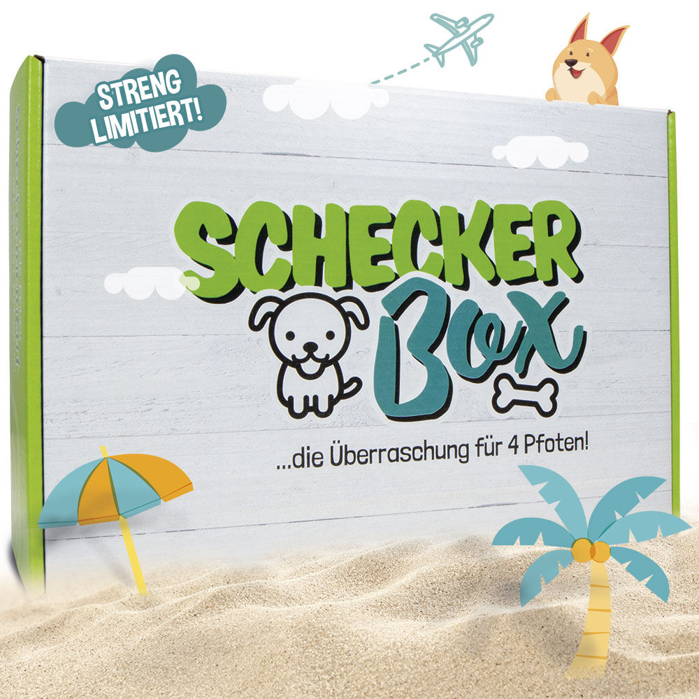 Sommerbox