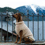FuzzYard Teddy Hunde-Sweater