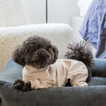 FuzzYard LIFE Soft Touch Hunde-Pyjama