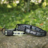 FuzzYard Active Hunde-Halsband